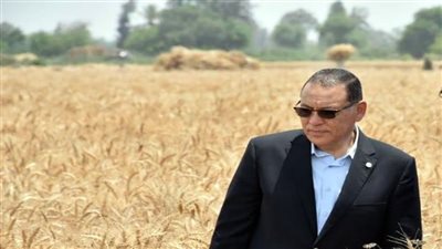 مواقع تخزين القمح بالشرقية تستقبل ٥٣٥ ألف طن 