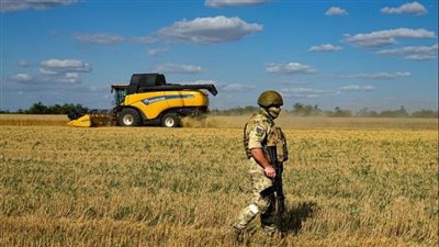 تعليق اتفاقية الحبوب يضع العالم أمام بدائل صعبة (شاهد) 