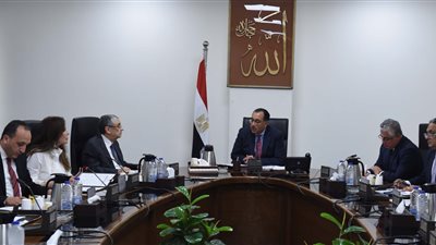 رئيس الوزراء يتابعُ مستجدات تنفيذ مشروعات إنتاج الهيدروجين الأخضر