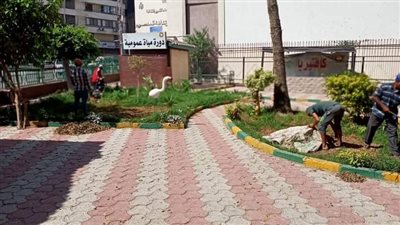 رفع 1175 طن قمامة ومخلفات من شوارع وميادين المنصورة