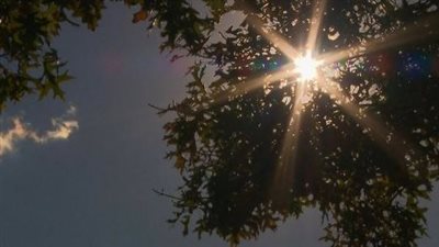 خبير بيئي: العالم يمر باحتباس حرارى نتيجة زيادة درجات الحرارة