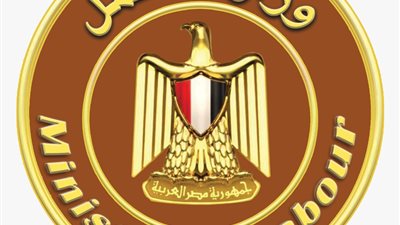وزارة العمل تعلن بدء تلقى طلبات التدريب المهني على 11 مهنة بأسيوط