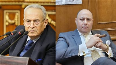 الكبار في قضية واحدة.. أشرف نبيل وبهاء أبو شقة يودعان مذكرتي الطعن على الحكم الصادر في قضية ولاء زايد 