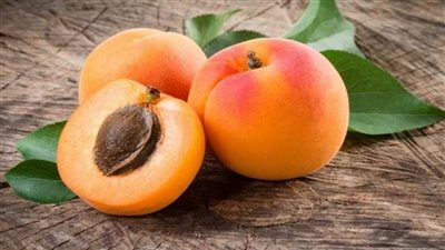 هل المشمش مفيد لمرضى القلب والأوعية الدموية.. طبيبة تجيب 