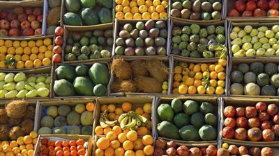 المانجو تصل لـ 60 جنيهًا.. أسعار الفاكهة اليوم الجمعة في الأسواق