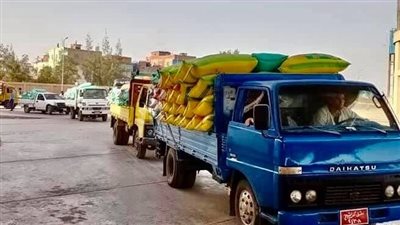 توريد 262 ألف و782 طن قمح لشون وصوامع كفر الشيخ