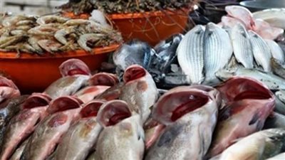أسعار السمك في الأسواق اليوم السبت