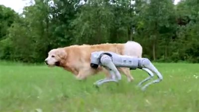روبوت على هيئة كلب.. يمكنه تشغيل الموسيقى والتقاط الصور