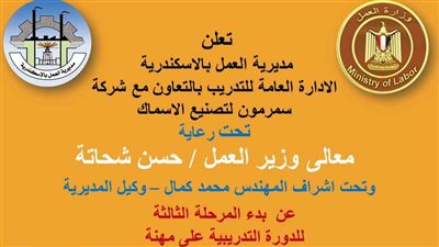 وزارة العمل: تدريب الشباب على مهنة تصنيع الأسماك بالإسكندرية