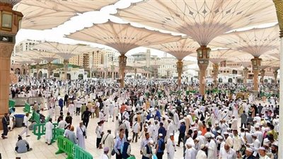 وزارة الخارجية والهجرة تنجح في إنهاء مشكلة (102) مواطن مصري عالقين بالمدينة المنورة