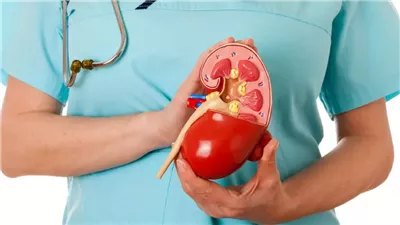 أعراض مفاجئة تنذر بالإصابة بسرطان الكلى.. طبيب أورام يحذر