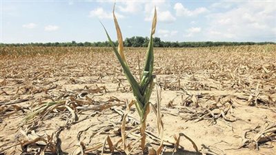 الدولة تتخذ إجراءات مرنة لمواجهة التغيرات المناخية والأوبئة