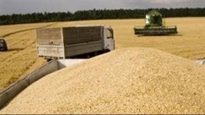 القمح يرتفع لأعلى مستوى في 5 أشهر