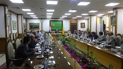 مجلس جامعة المنيا يطلق استراتيجية الجامعة للأمن السيبراني 