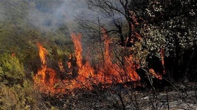 بسبب ارتفاع الحرارة.. حرائق تلتهم الغابات باليونان والجزائر والصين 