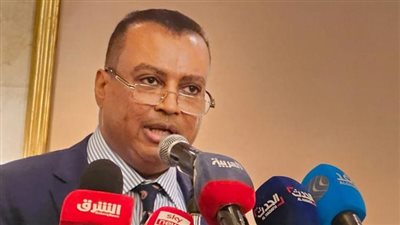 رئيس الكتلة الديمقراطية السودانية: إنشاء حكومة تصريف أعمال بإدارة الجيش