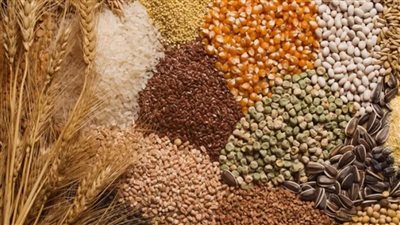 الكرملين: لم يتم وقف صفقة الحبوب بالكامل ولكن تم تعليقها