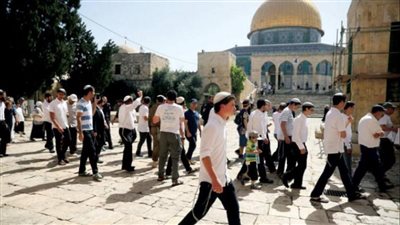 الخارجية البلجيكية: العقوبات على المستوطنين لا تكفي ويجب معاقبة من يسلحهم