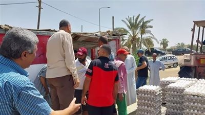سكرتير بنى سويف يتفقد منظومة العمل ومنافذ البيع بمشروع الدواجن 