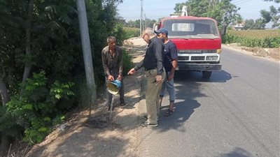  المنوفية تواصل أعمال التشجير ضمن المبادرة الرئاسية