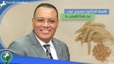 توريد 536 ألف طن قمح لصوامع وشون الشرقية