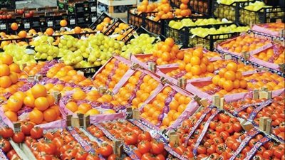 أستاذ اقتصاد يكشف عن أسباب زيادة الصادرات الزراعية المصرية (شاهد)