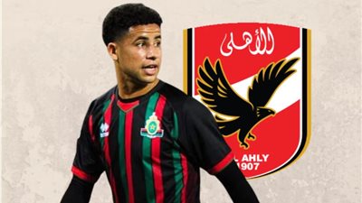 رضا سليم يتخلف عن الحضور للقاهرة اليوم لهذا السبب