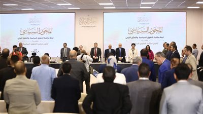 أستاذ قانون دستوري: التصويت الإلكتروني يجب أن يكون بجانب المتعارف عليه