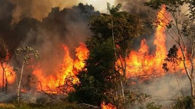 غرامة كبيرة لمخالفة حرق النفايات في السعودية 