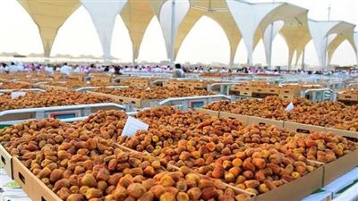 أمير القصيم يفتتح أكبر مهرجان للتمور فى العالم الأسبوع القادم