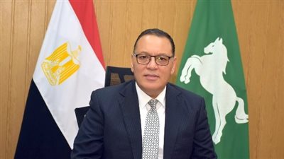 محافظ الشرقية: تخفيض إنارة المساجد والشوارع والميادين العامة