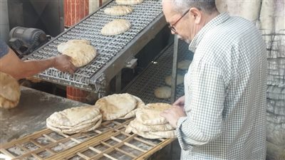 إحالة 203 مخالفات تموينية للنيابة العامة بالدقهلية