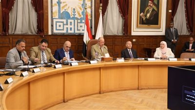 محافظ القاهرة: تخفيض إنارة الشوارع والميادين العامة والمحاور الرئيسية بنسبة ٧٥%