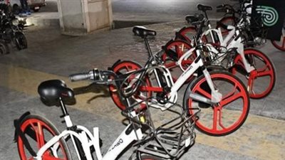 حقيقة إلزام الدراجات والحنطور بالترخيص وتركيب لوحات مرورية (فيديو)