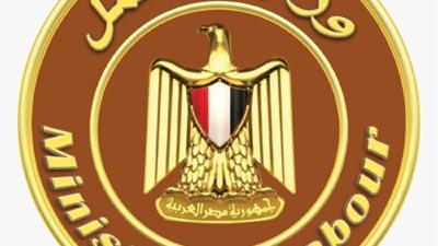 وزارة العمل تعلن عودة 740 ألف جنيه مستحقات لورثة 5 عمال مصريين بالسعودية