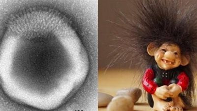 اكتشاف فيروس جديد على هيئة حيوانات.. أسرار العالم الخفي من الكوكب