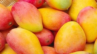 أسعار المانجو وأنواعها في الأسواق اليوم الثلاثاء