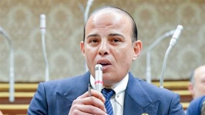 النائب عمرو القطامى: 