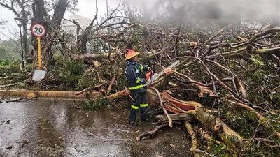 ارتفاع حصيلة ضحايا إعصار إيجاي بالفلبين 