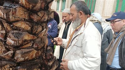 الإدارة المركزية للمكافحة الآفات توجه نصائح لمزارعي النخيل