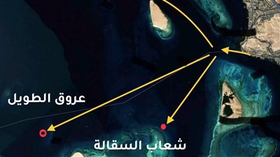 غداً.. إنطلاق مشروع الحيود المرجانية الصناعية بالغردقة 