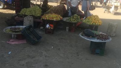 إرتفاع أسعار الخضروات والفاكهة بأسواق الفيوم 