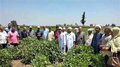 زراعة الشرقية تنظم مدرسة حلقية عن الفول الصويا بقرية شوبك اكراش 