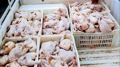 الليمون ب40 جنيهًا.. ارتفاع أسعار الخضار والفاكهة والدواجن بأسواق الغردقة