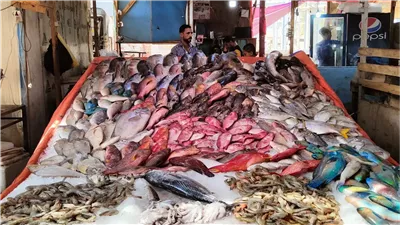 استقرار أسعار الأسماك اليوم الاحد