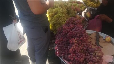استقرار أسعار الخضار والفاكهة بأسواق الفيوم