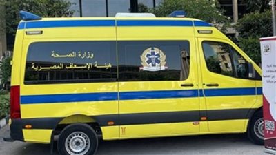 وفاة سباك على يد طالب إعدادي بالشرقية