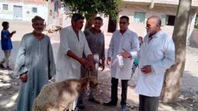 بيطري الشرقية يُشارك في قافلة توعوية ووقائية مجانية بقرية الشبراوين