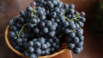 العنب مفيد لمقاومة هشاشة العظام.. دراسة تكشف التفاصيل