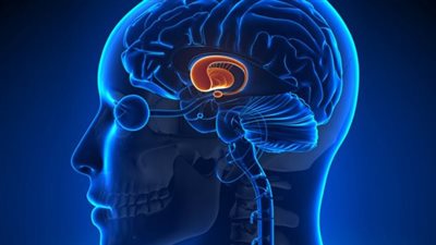 ما هو مرض قصور الغدة النخامية وأشهر أعراضه 